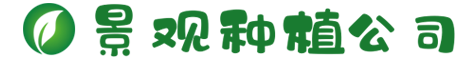 www.211178.com